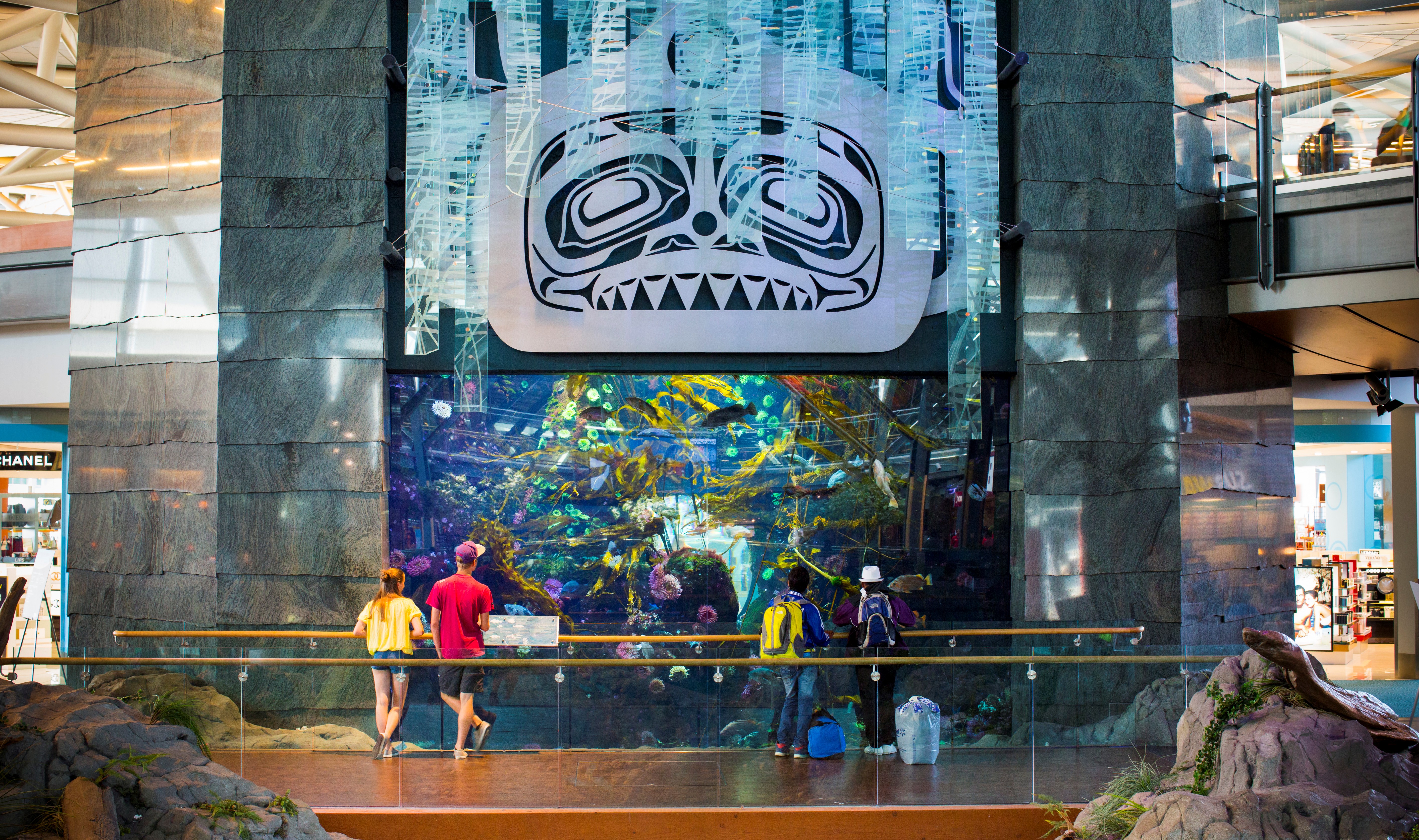 Yvr deals twitter