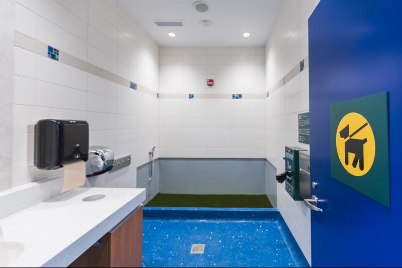 Animal relief area