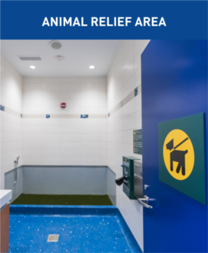 Animal Relief ENG