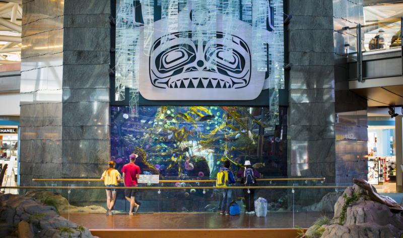 People admiring the aquarium