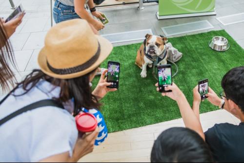 Instagram Star Mister Bentley getting his photo taken