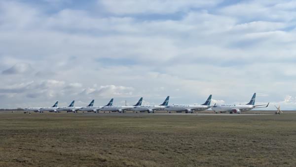 A lineup of WestJet planes parked on the airfield