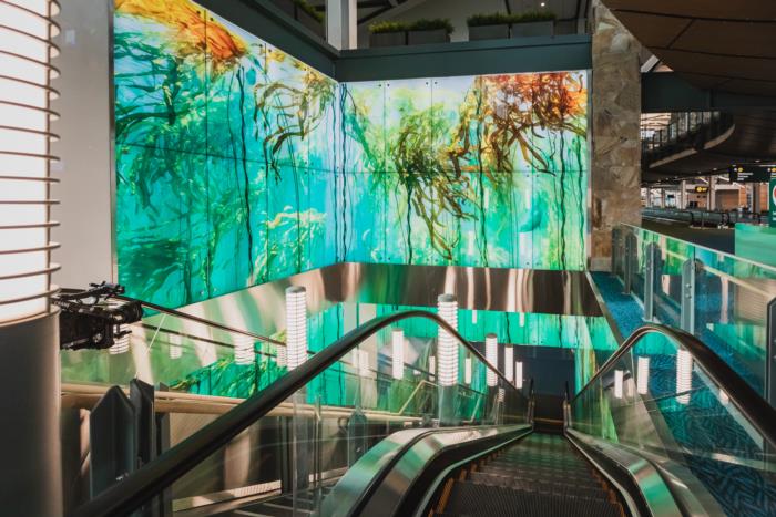 Descending on an escalator with the view of an expansive art piece reflecting a west coast kelp forest  